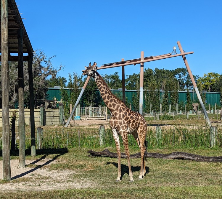 zootampa-at-lowry-park-photo